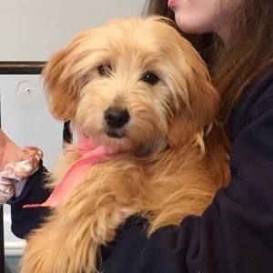 Meet your Posher, Cathy